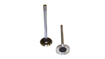 Engine Exhaust Valve