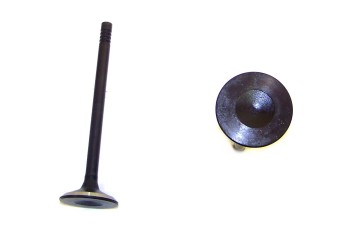 Engine Exhaust Valve