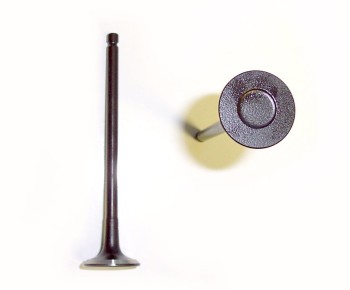 Engine Exhaust Valve
