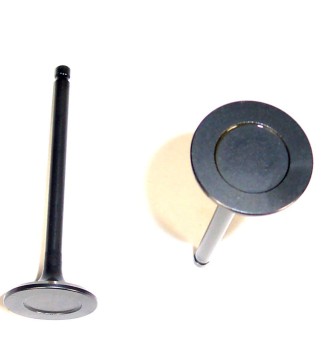 Engine Exhaust Valve