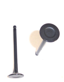 Engine Exhaust Valve