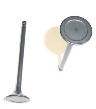 Engine Exhaust Valve