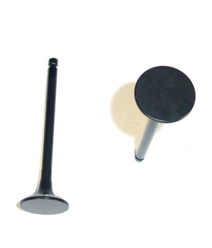 Engine Exhaust Valve