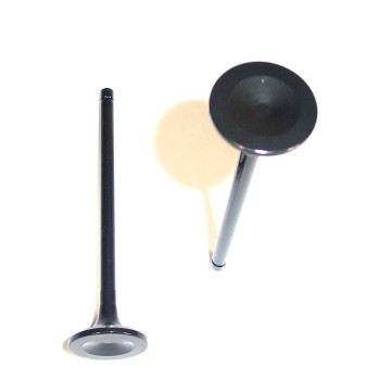 Engine Exhaust Valve