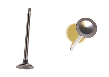 Engine Exhaust Valve