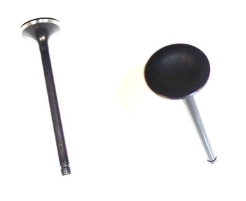 Engine Exhaust Valve