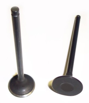 Engine Exhaust Valve