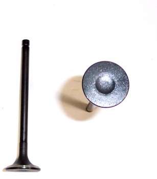Engine Exhaust Valve