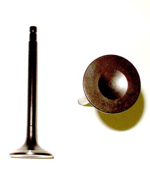 Engine Exhaust Valve