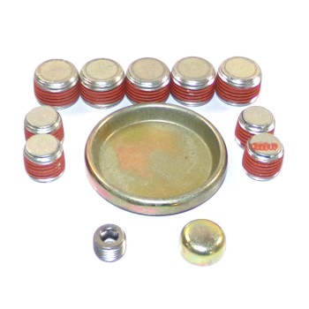 Engine Expansion Plug Kit