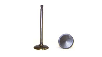 Engine Intake Valve