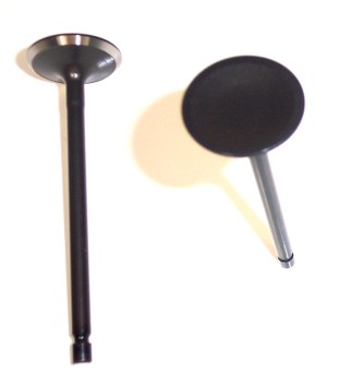 Engine Intake Valve