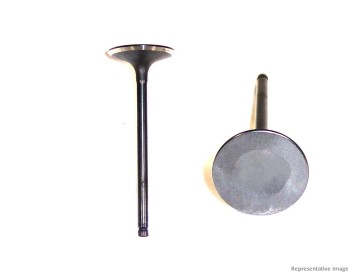Engine Intake Valve