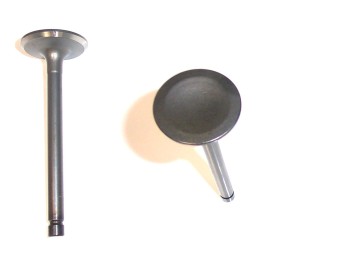 Engine Intake Valve