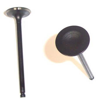 Engine Intake Valve
