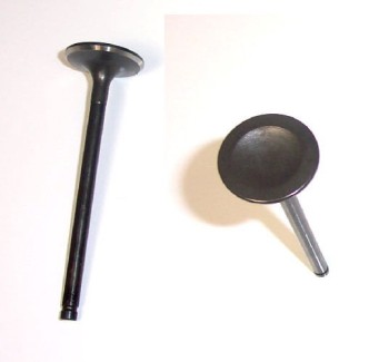 Engine Intake Valve