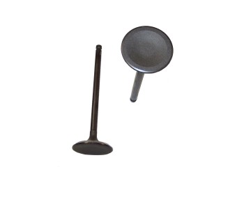 Engine Intake Valve