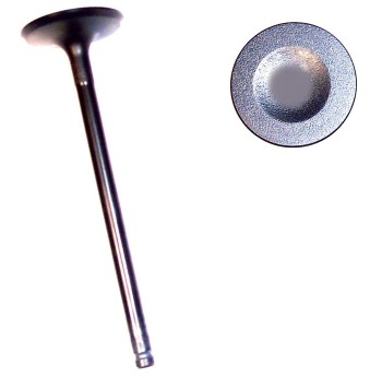 Engine Intake Valve