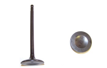 Engine Intake Valve