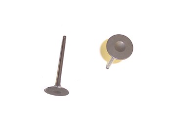 Engine Intake Valve