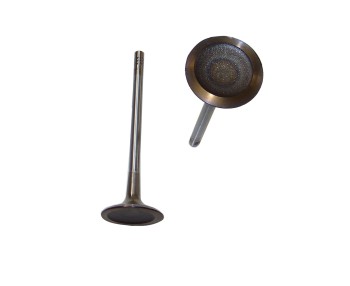 Engine Intake Valve
