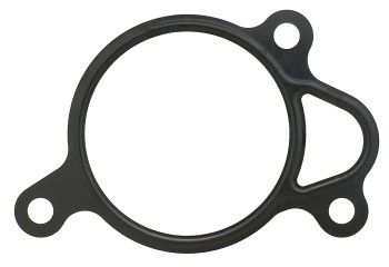 Exhaust Gas Recirculation (EGR) Valve Gasket