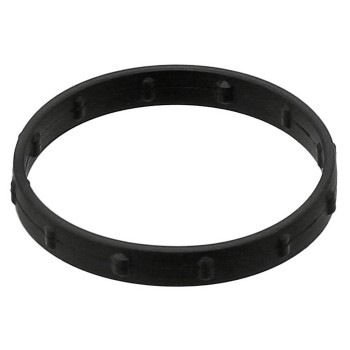Engine Water Pump Gasket