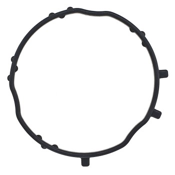 Engine Variable Valve Timing (VVT) Adjuster Seal