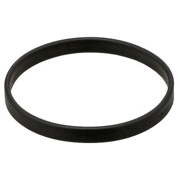 Engine Variable Valve Timing (VVT) Adjuster Seal