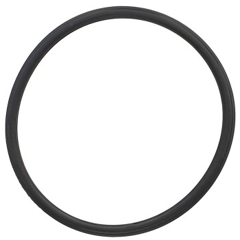 Engine Coolant Thermostat Seal