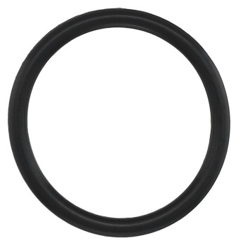Fuel Line Seal Ring