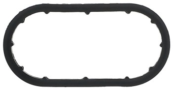 Engine Oil Cooler Gasket