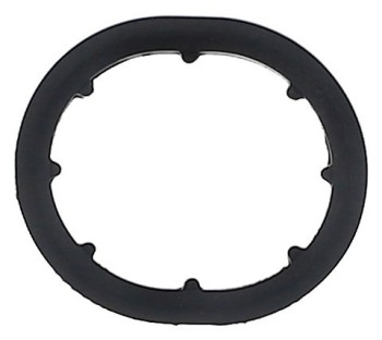 Engine Oil Cooler Gasket