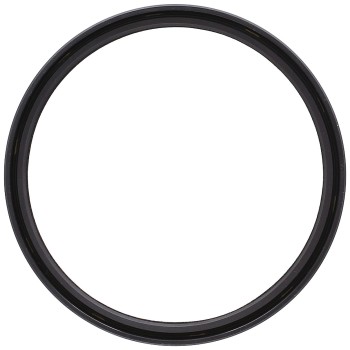 Engine Crankshaft Seal