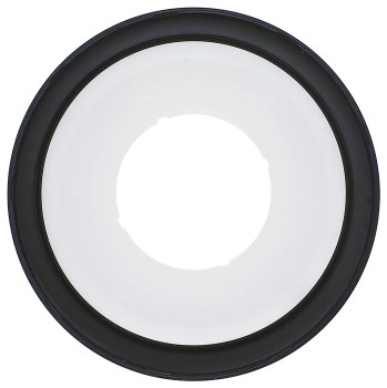 Engine Crankshaft Seal