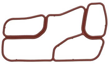 Engine Oil Cooler Gasket