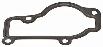 Engine Coolant Thermostat Seal