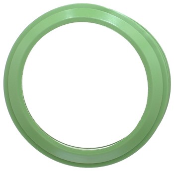 Fuel Injection Plenum Gasket