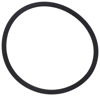 Engine Coolant Thermostat Seal