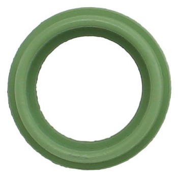 Engine Oil Pan Gasket