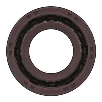 Engine Variable Valve Timing (VVT) Adjuster Seal