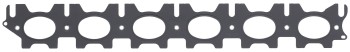 Exhaust Manifold Gasket