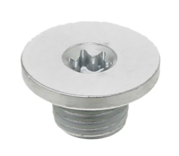 Engine Oil Drain Plug