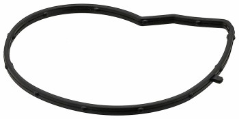 Engine Water Pump Gasket