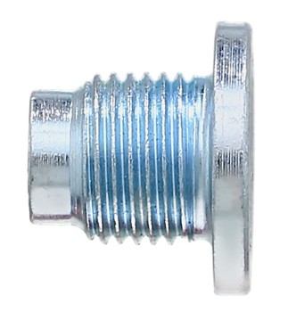 Engine Oil Drain Plug
