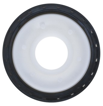Engine Crankshaft Seal