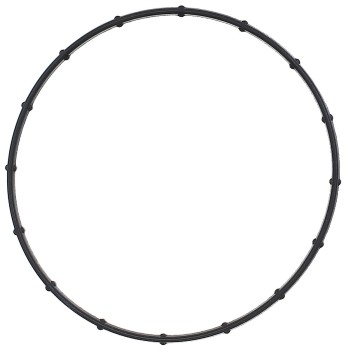 Vacuum Pump Gasket
