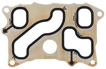 Engine Oil Cooler Gasket