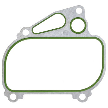 Engine Oil Cooler Gasket