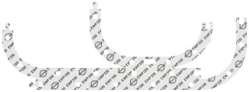 Engine Oil Pan Gasket